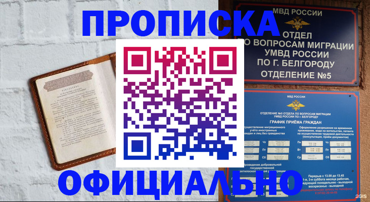 временная регистрация для школы в Малой Вишере